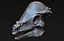 Pachycephalosaurus-Schädel