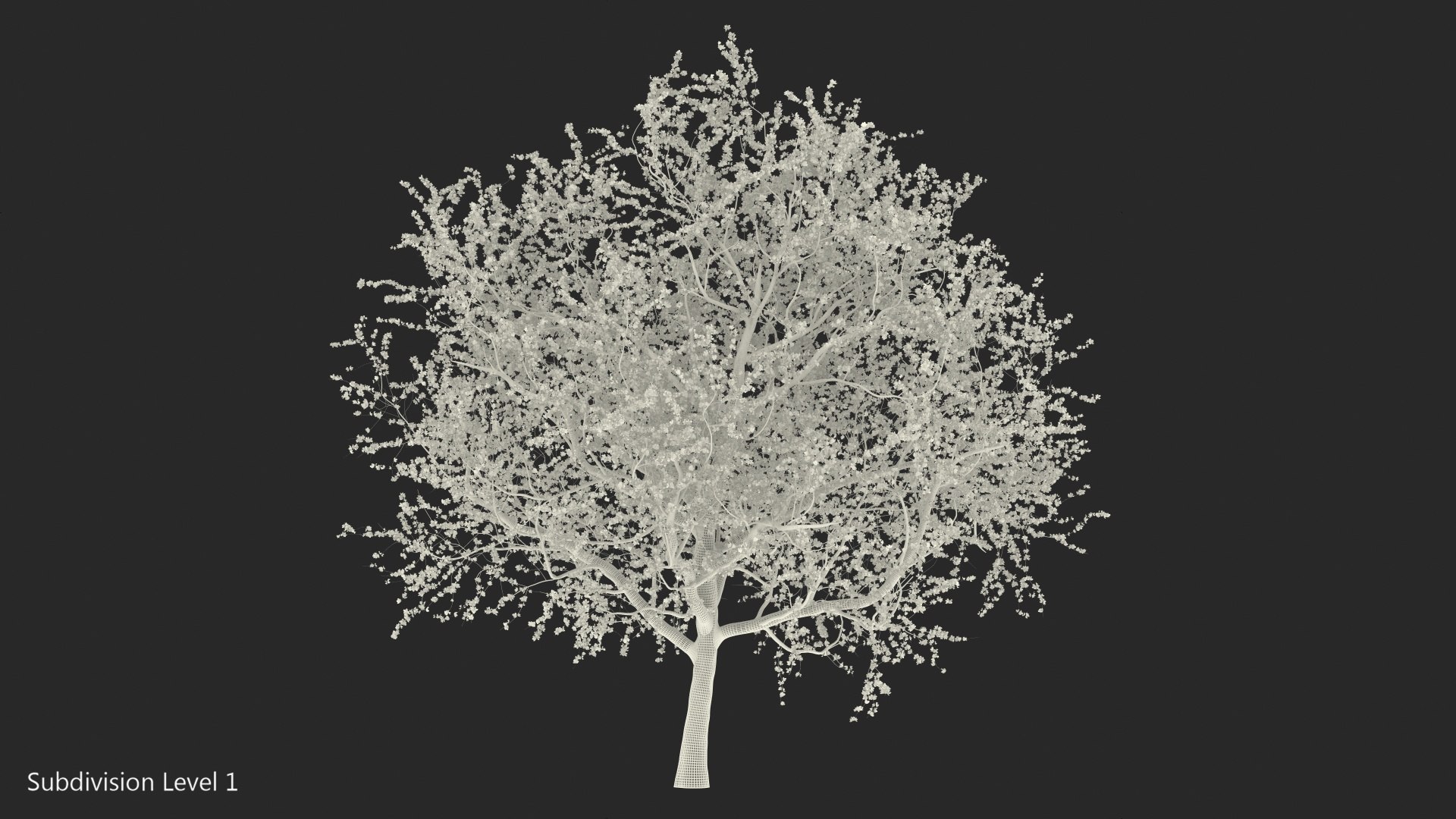 3D model flowering cherry tree https://p.turbosquid.com/ts-thumb/pL/kZ20M6/WlND9qyC/floweringcherrytree3dsmodel015/jpg/1565617245/1920x1080/fit_q87/a6c410d05ff1d49818e53fa24656625b9b9eb38b/floweringcherrytree3dsmodel015.jpg