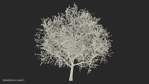 3D model flowering cherry tree - TurboSquid 1435817