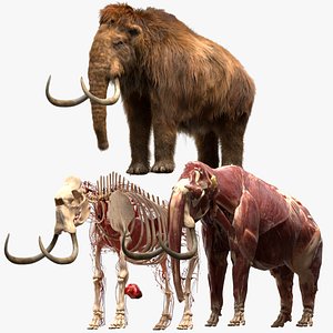 Frozen Undead Mammoth - Tjornir, 3D models download