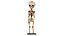 Unborn Human Baby Skeleton Remastered
