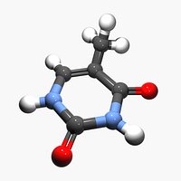 DNA - Thymine Nucleobase
