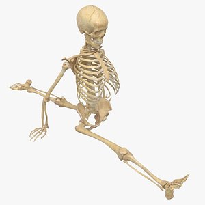 3D Real Human Female Skeleton Pose 110(1)