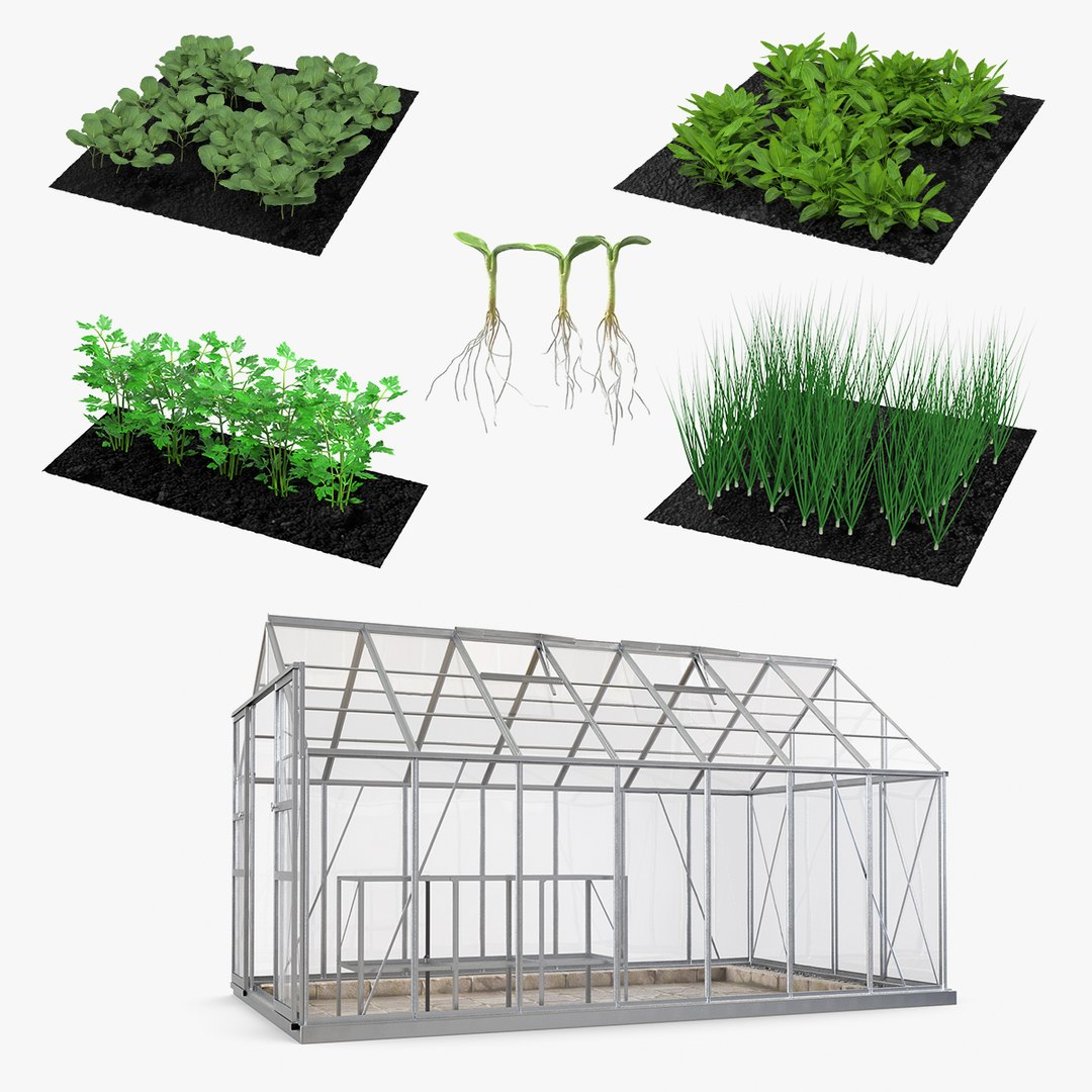 Garden Greenhouse with Grows Collection 3 3D model preview