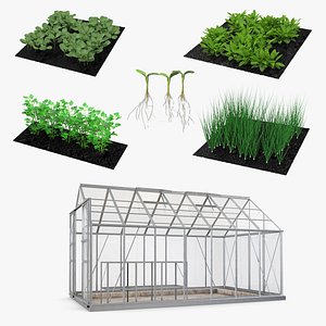 Garden Greenhouse with Grows Collection 3