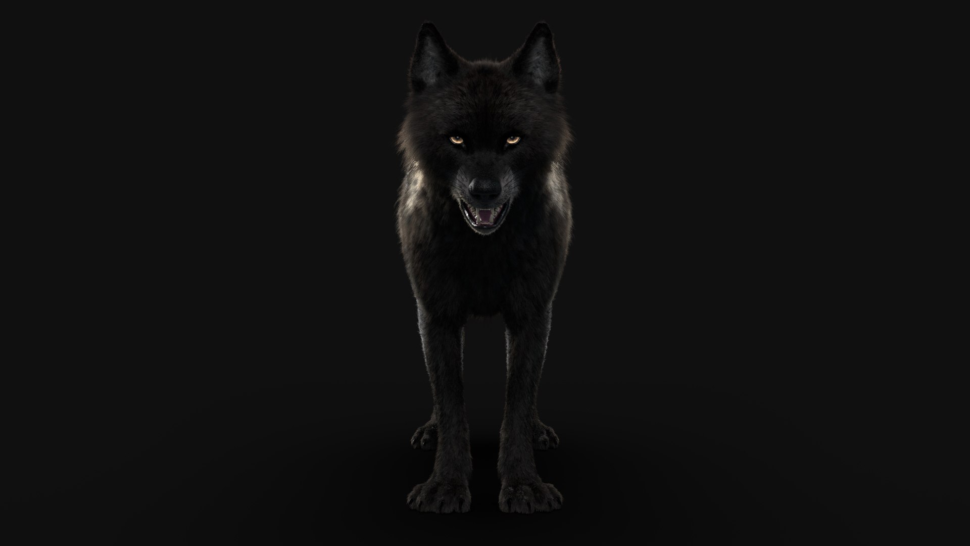 Black Timber Wolf Xgen Rigged 3D model https://p.turbosquid.com/ts-thumb/pM/gaeN7n/C9/wolf_k/jpg/1685283441/1920x1080/fit_q87/f8f3221405e2897955667444877cb8ea8ac13dea/wolf_k.jpg