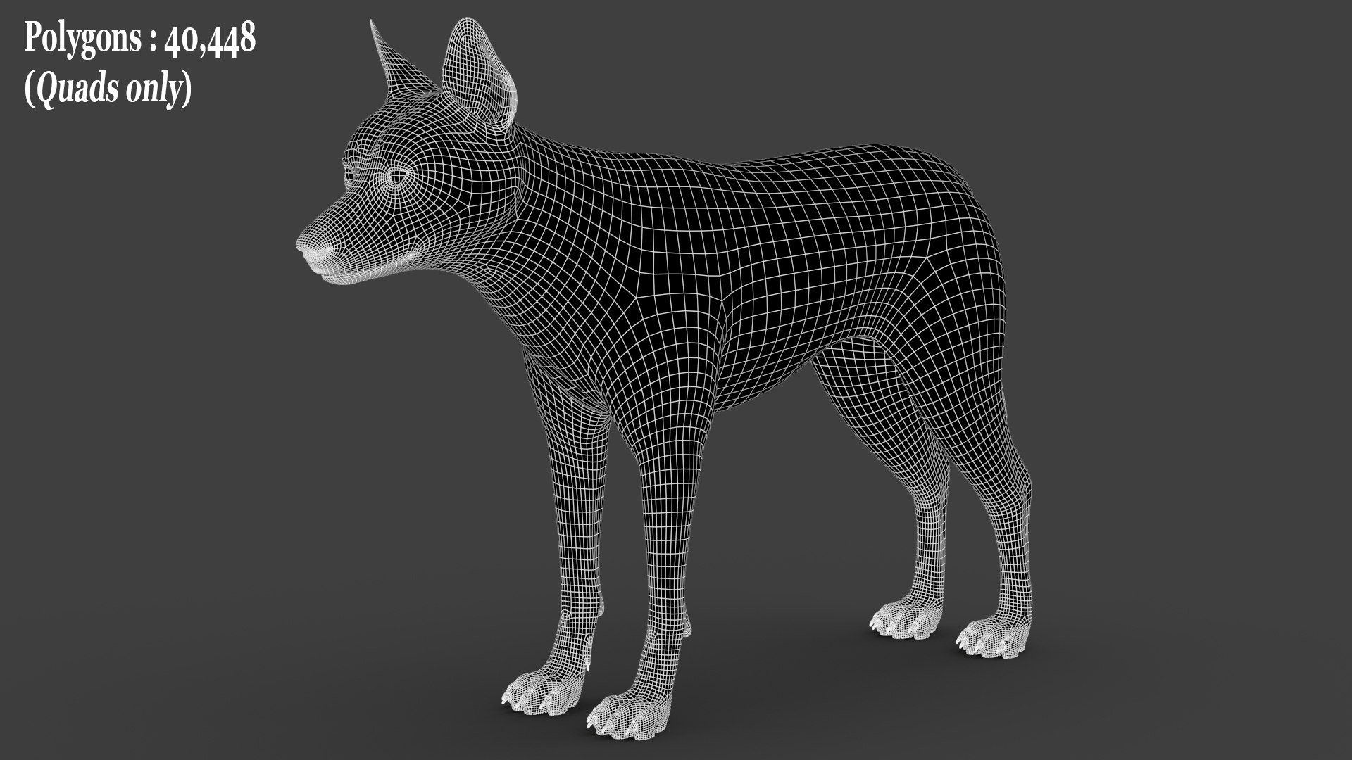 Black Timber Wolf Xgen Rigged 3D model https://p.turbosquid.com/ts-thumb/pM/gaeN7n/Sx/wire_a/jpg/1685283500/1920x1080/fit_q87/800300ebc498e326a1b249f1d770d76398e6a834/wire_a.jpg