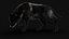 Loup des bois noir Xgen Rigged