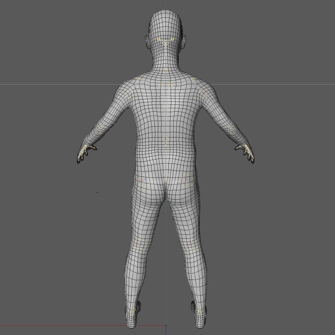 3d Base Mesh 10 Year