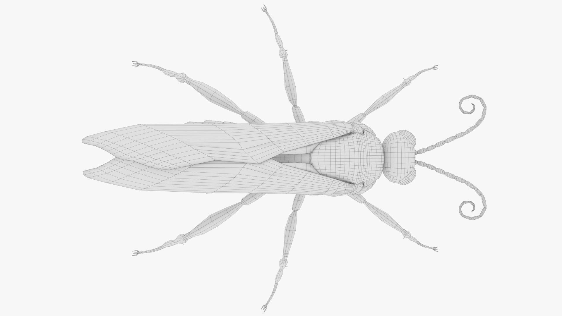 Tarantula Hawk 3D model https://p.turbosquid.com/ts-thumb/pM/nT35LP/54/c/png/1625165743/1920x1080/fit_q87/8c8d5b9150a7b5513e48b2694d10be612c13dd38/c.jpg