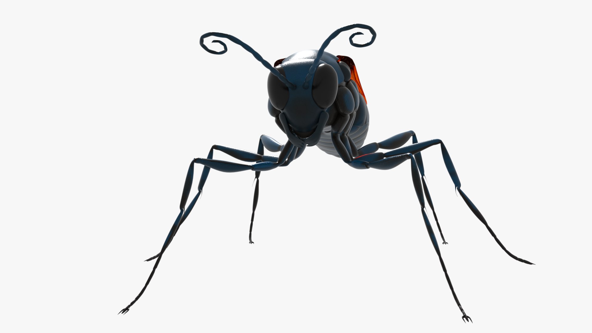 Tarantula Hawk 3D model https://p.turbosquid.com/ts-thumb/pM/nT35LP/Ua/0011/png/1625165604/1920x1080/fit_q87/91f378f63263a089006dd48d5dc6dcfa31bb6b24/0011.jpg