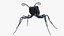 Tarantula Hawk