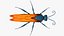 Tarantula Hawk