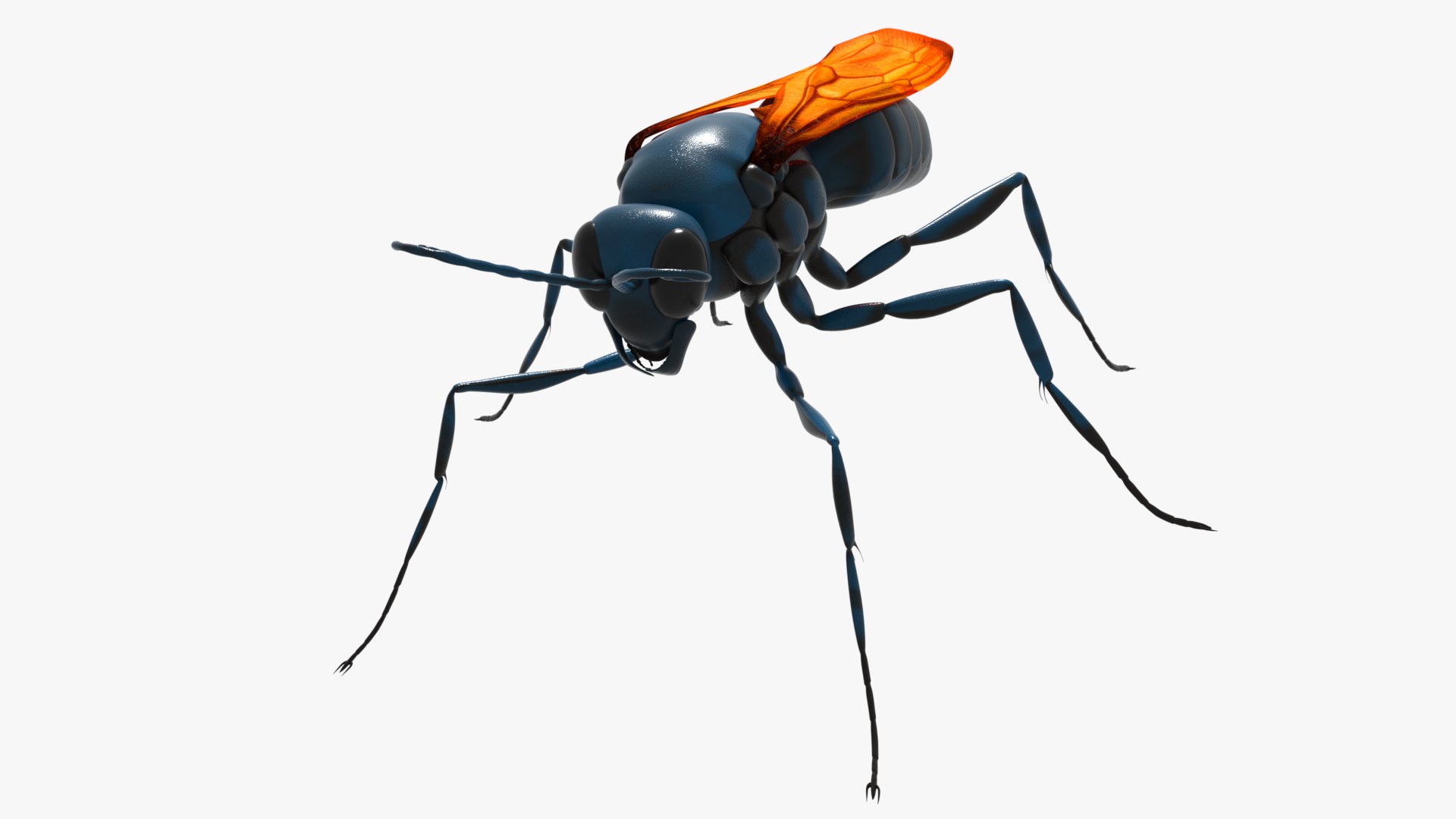Tarantula Hawk 3D model https://p.turbosquid.com/ts-thumb/pM/nT35LP/er/0007/png/1625165603/1920x1080/fit_q87/f90a4f3ba2007aefb4f753f86b8577cfe039d1ab/0007.jpg