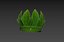 Leaf Crown