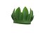 Leaf Crown