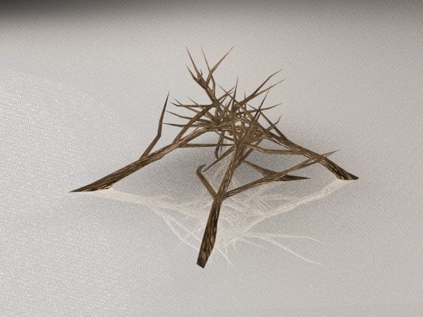 3d model branches