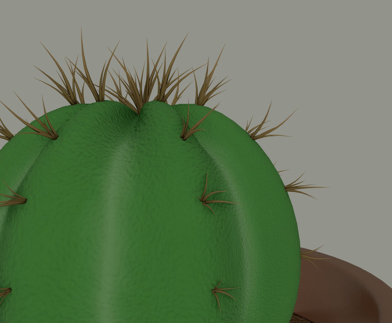 Green Cactus 3D Model - TurboSquid 1610631