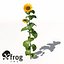 XfrogPlants Girasol