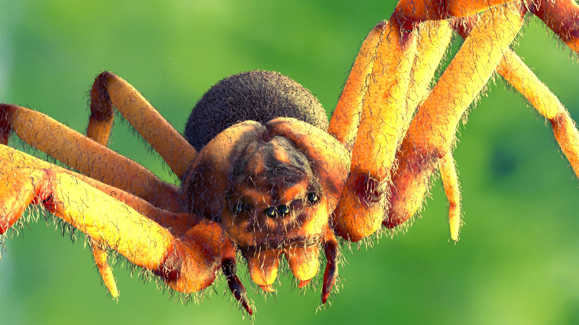3ds Max Realistic Spider