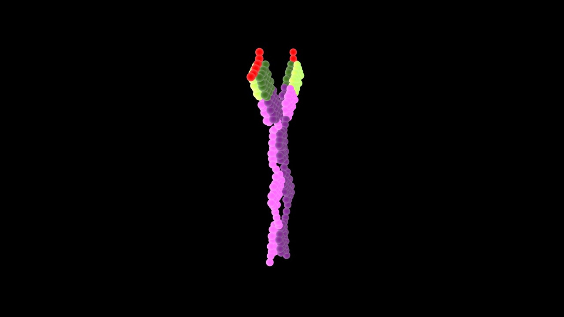 max antibody ige https://p.turbosquid.com/ts-thumb/pN/JA1Uhe/0QPCGgBX/ige_left/jpg/1355895697/1920x1080/fit_q87/454f0ee2fcfadd6a14f6ba331bb7c57f325b07b2/ige_left.jpg