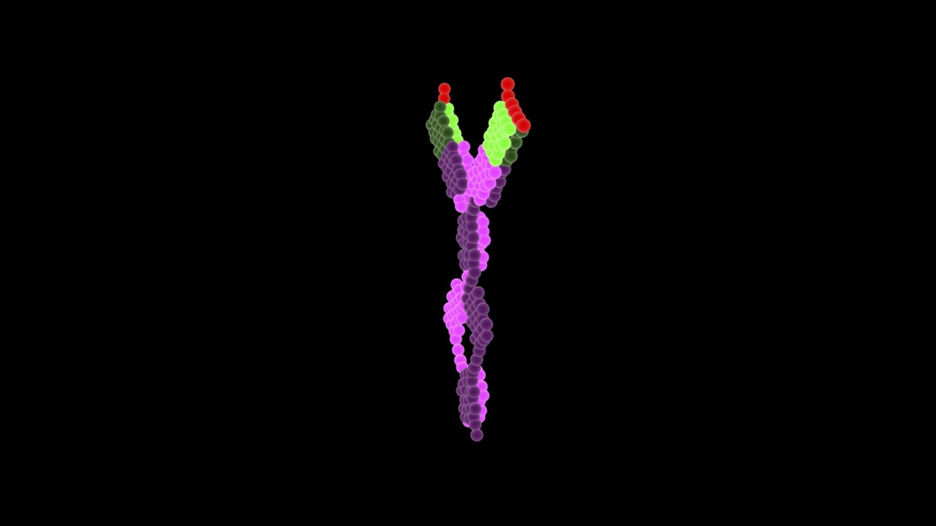 max antibody ige https://p.turbosquid.com/ts-thumb/pN/JA1Uhe/DHuho1bU/ige_right/jpg/1355895697/1920x1080/fit_q87/6331be137387d2c27fa64d28695518b2c02f6a80/ige_right.jpg