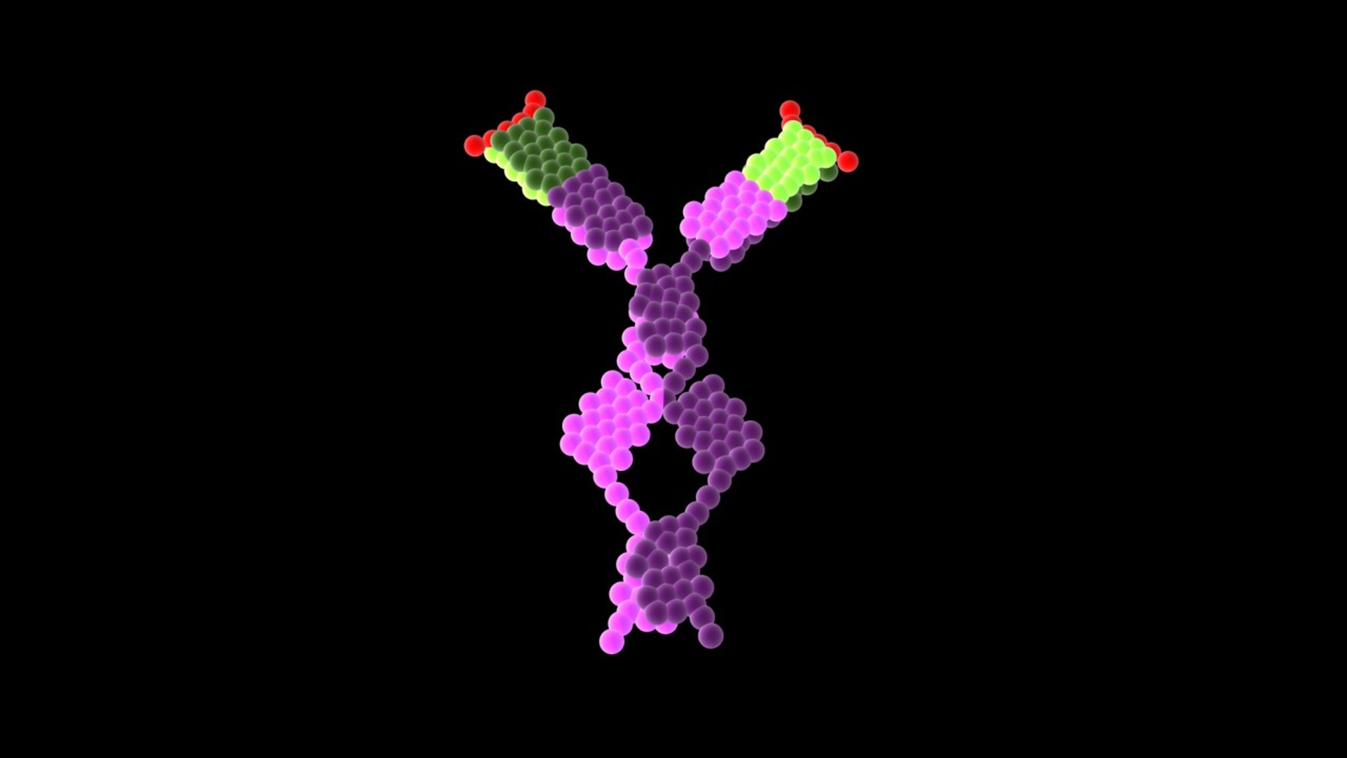 max antibody ige https://p.turbosquid.com/ts-thumb/pN/JA1Uhe/gh1fWHZc/ige_perspective/jpg/1355895697/1920x1080/fit_q87/47f42982b6f4b39be013bf1bd7e6a7a02c1b2aed/ige_perspective.jpg