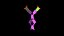 IgE Antibody
