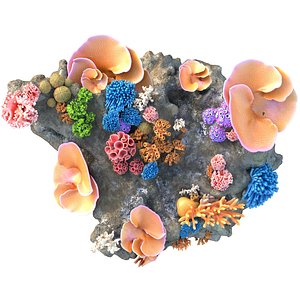 3D model Coral Reef Rock