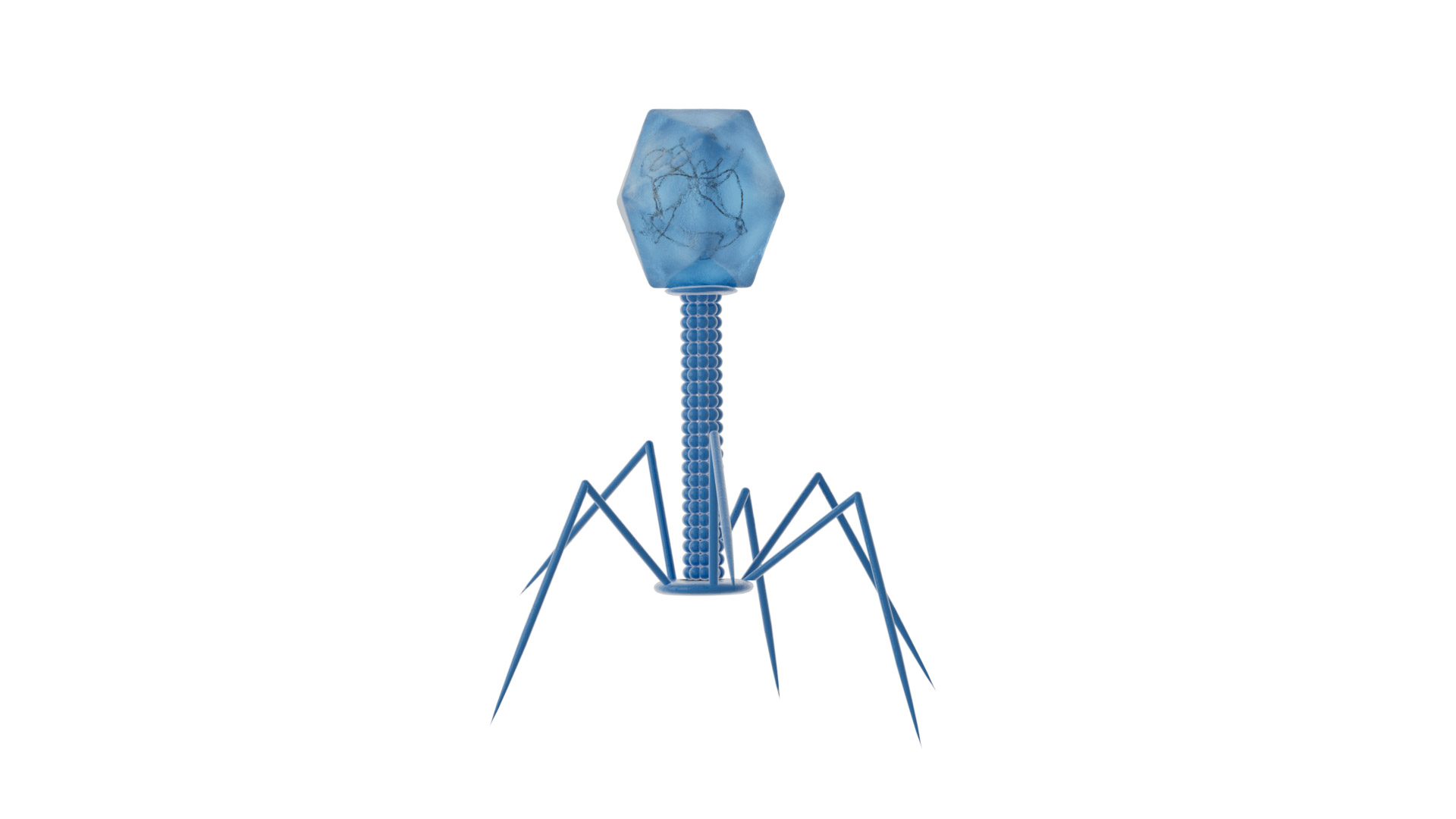 Bacteriophage Virus model https://p.turbosquid.com/ts-thumb/pN/e6t9Bf/oK/bacteriophageturntable/jpg/1750079326/1920x1080/turn_fit_q99/b5c3f64ed2f24b5aca4a6edd3c2f79dd1a3729ee/bacteriophageturntable-1.jpg
