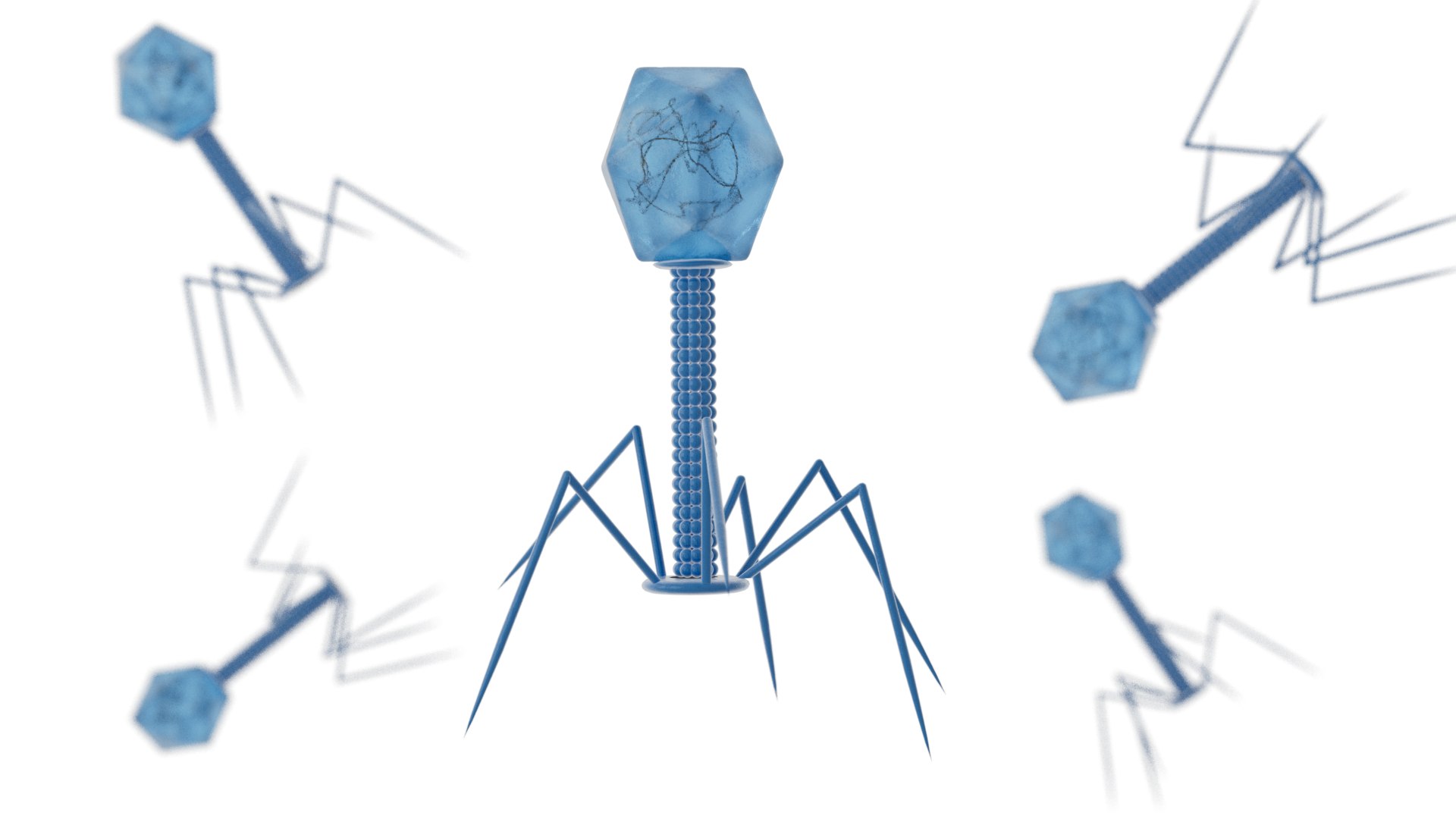 Bacteriophage Virus model https://p.turbosquid.com/ts-thumb/pN/e6t9Bf/tA/bacterioproductshot0003/png/1750079343/1920x1080/fit_q87/779dc629cad70cc6a64daa5d0ecd8ab28b419400/bacterioproductshot0003.jpg