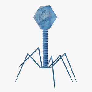 Bacteriophage Virus
