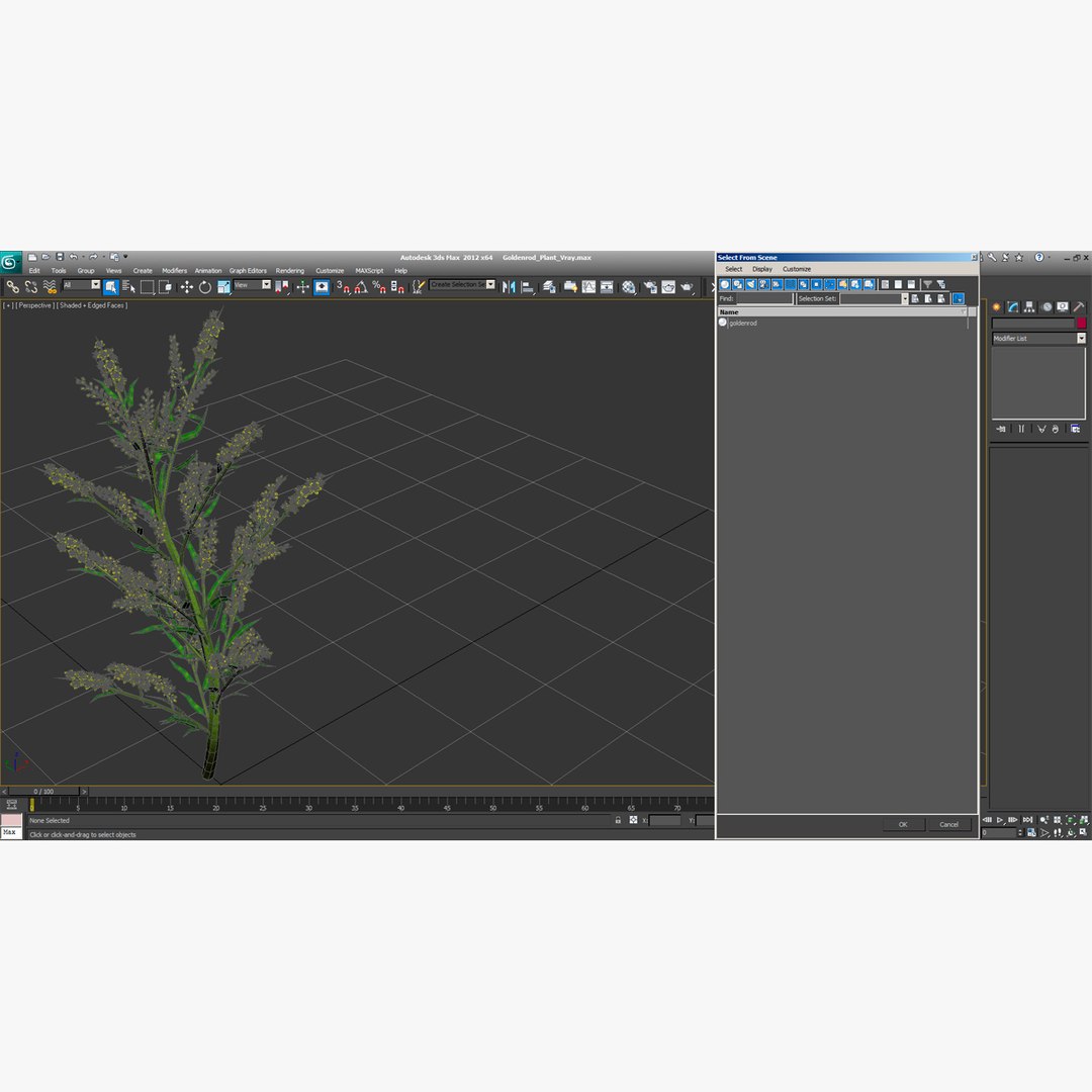 goldenrod plant 3d c4d https://p.turbosquid.com/ts-thumb/pN/e7EhDd/Cuu9Fjsx/113063_goldenrod_plant_001/jpg/1361456399/1920x1080/fit_q87/2c02ae8fcd798532b6588fe23a9e684eed2a4ffe/113063_goldenrod_plant_001.jpg