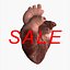 3d realistic human heart animation