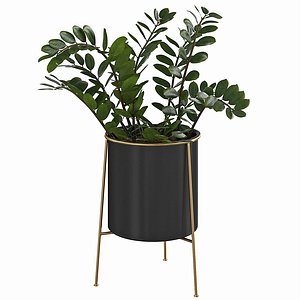 3D Houseplant 80