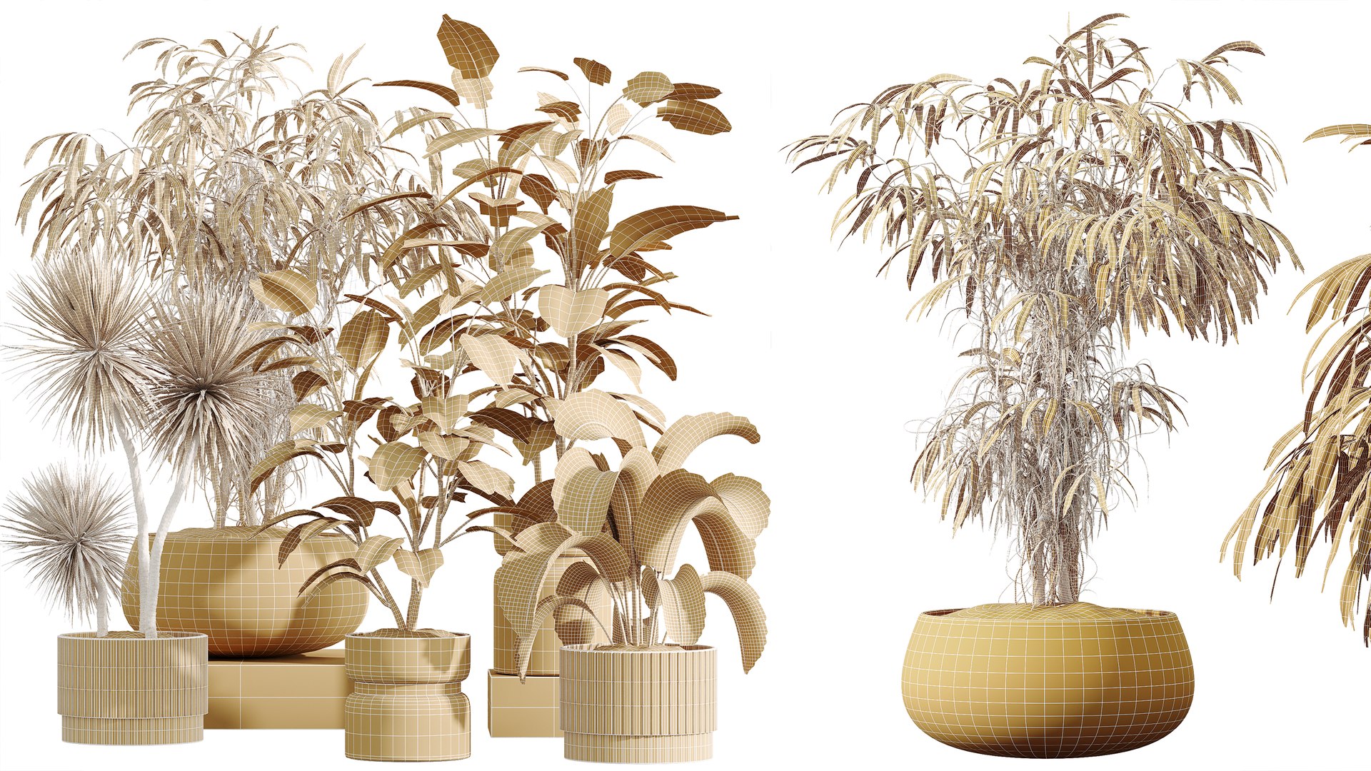 AV Indoor Plants Set 383 Yucca and Ficus Marginata and Banana Nicolai and Ficus Fig 3D model https://p.turbosquid.com/ts-thumb/pN/jFU9iA/PS/07/png/1759910813/1920x1080/fit_q87/58e08f040088a9c1420ad7b739ca99eaeee6874a/07.jpg