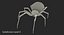 3D latrodectus spider fur