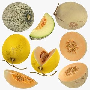 3D Melon Collection