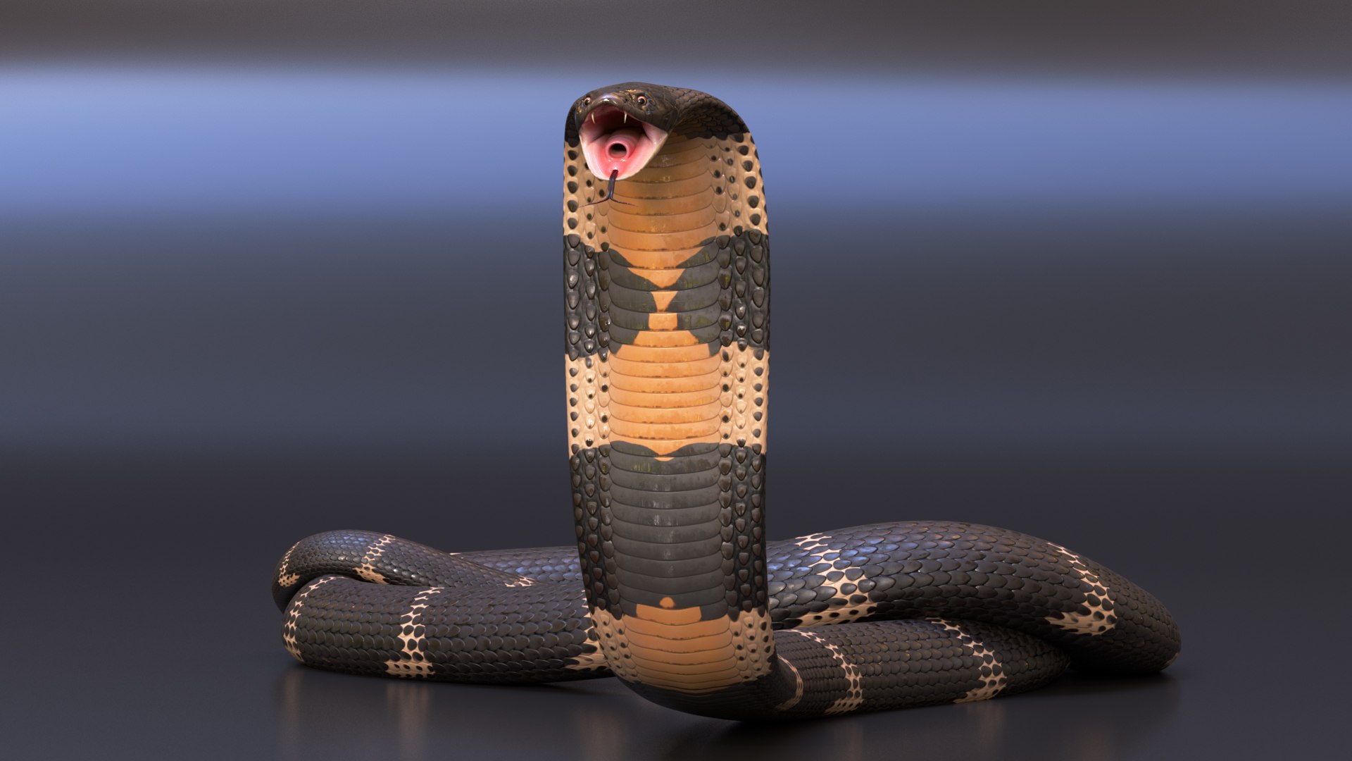 King Cobra Rig model - TurboSquid 1929599