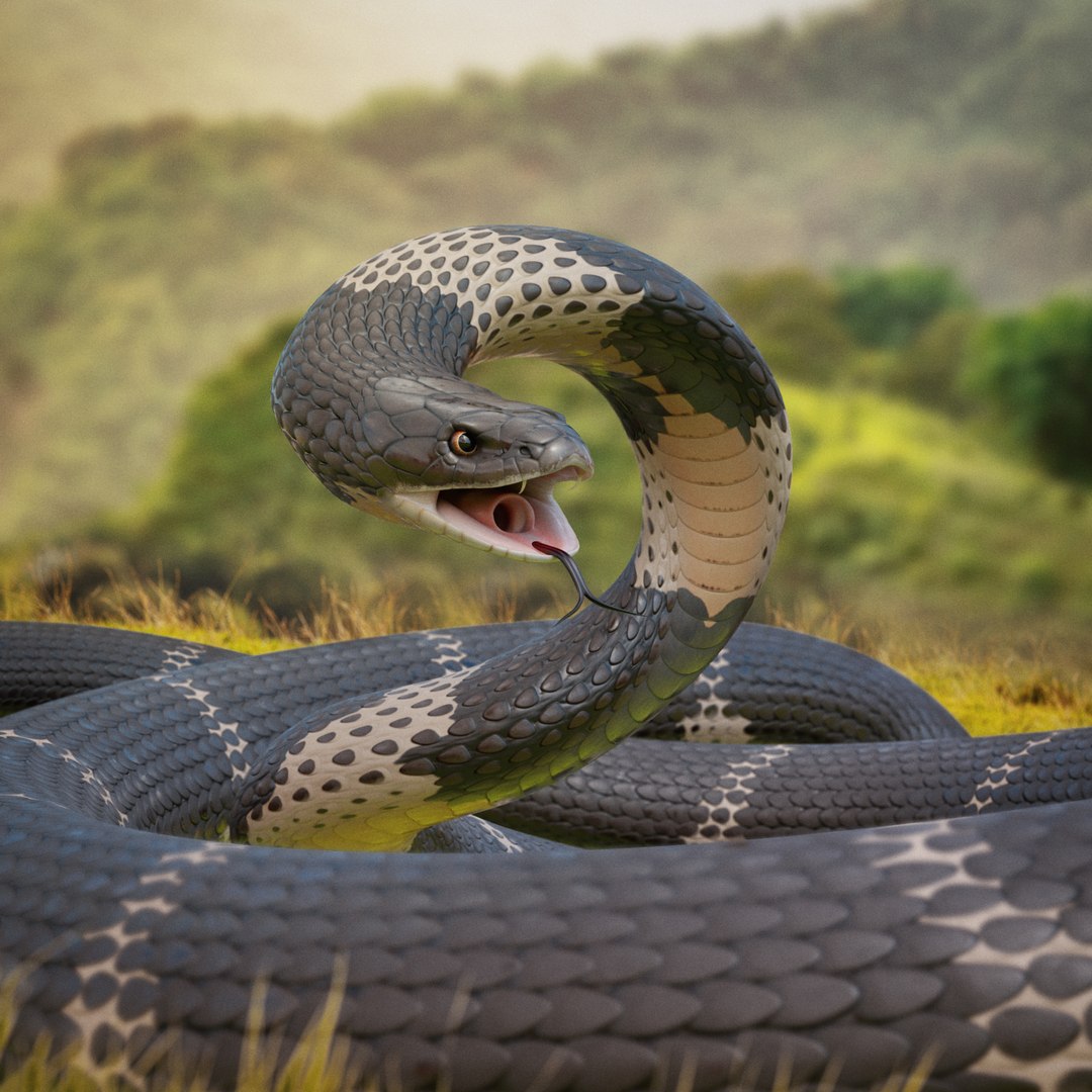 King Cobra Rig model - TurboSquid 1929599