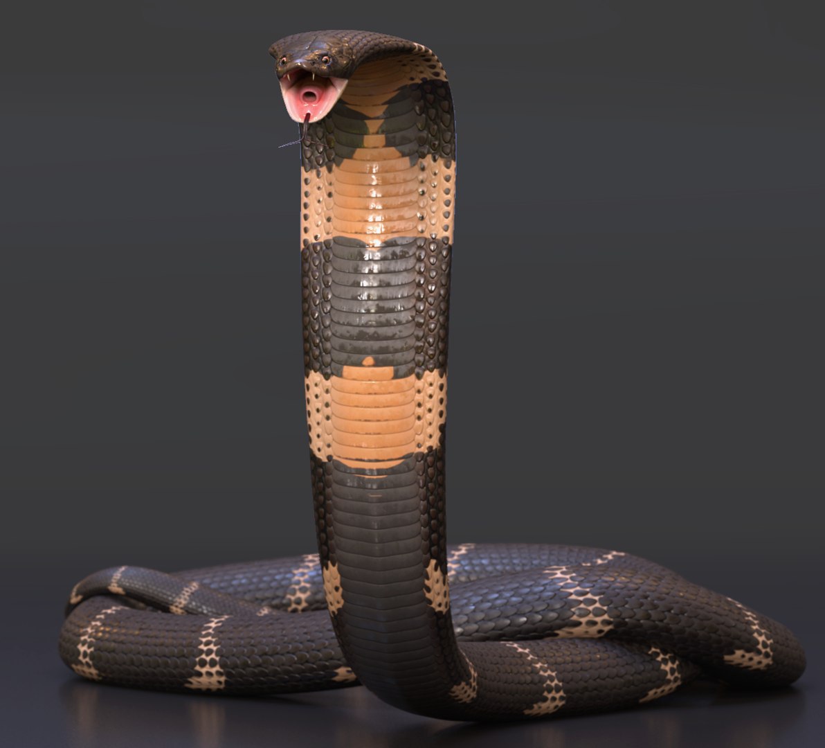 King Cobra Rig model - TurboSquid 1929599