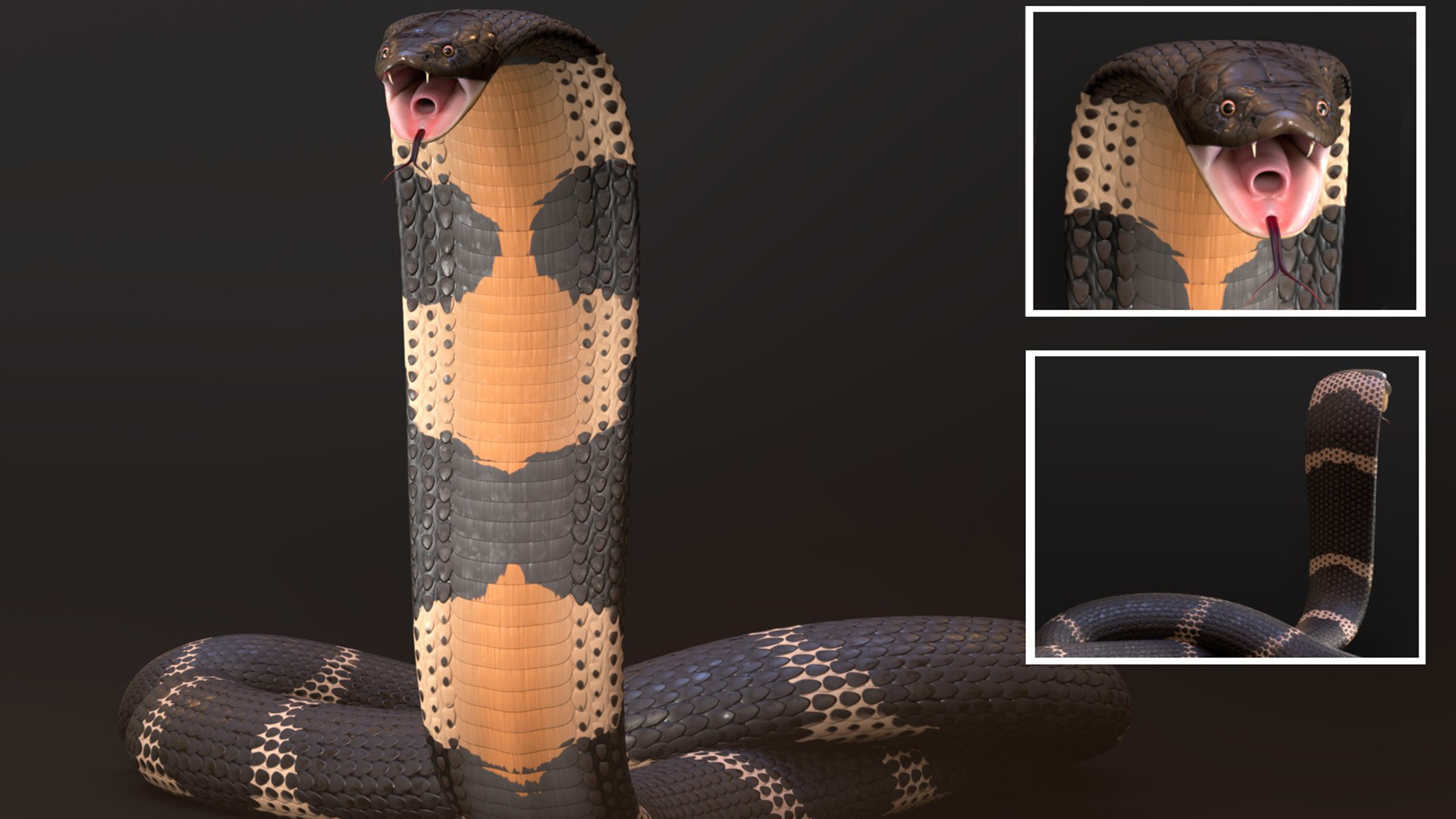 King Cobra Rig model - TurboSquid 1929599