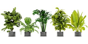 3D Collection plant vol 460 - blender model model