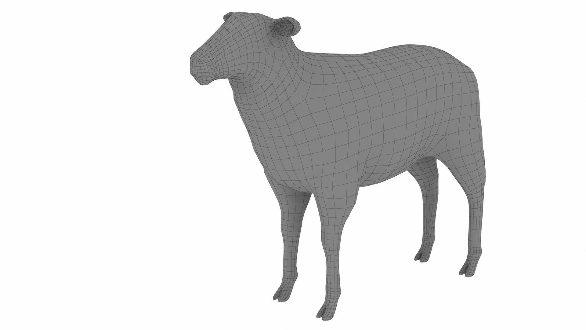 Sheep 3D Model - TurboSquid 2342924
