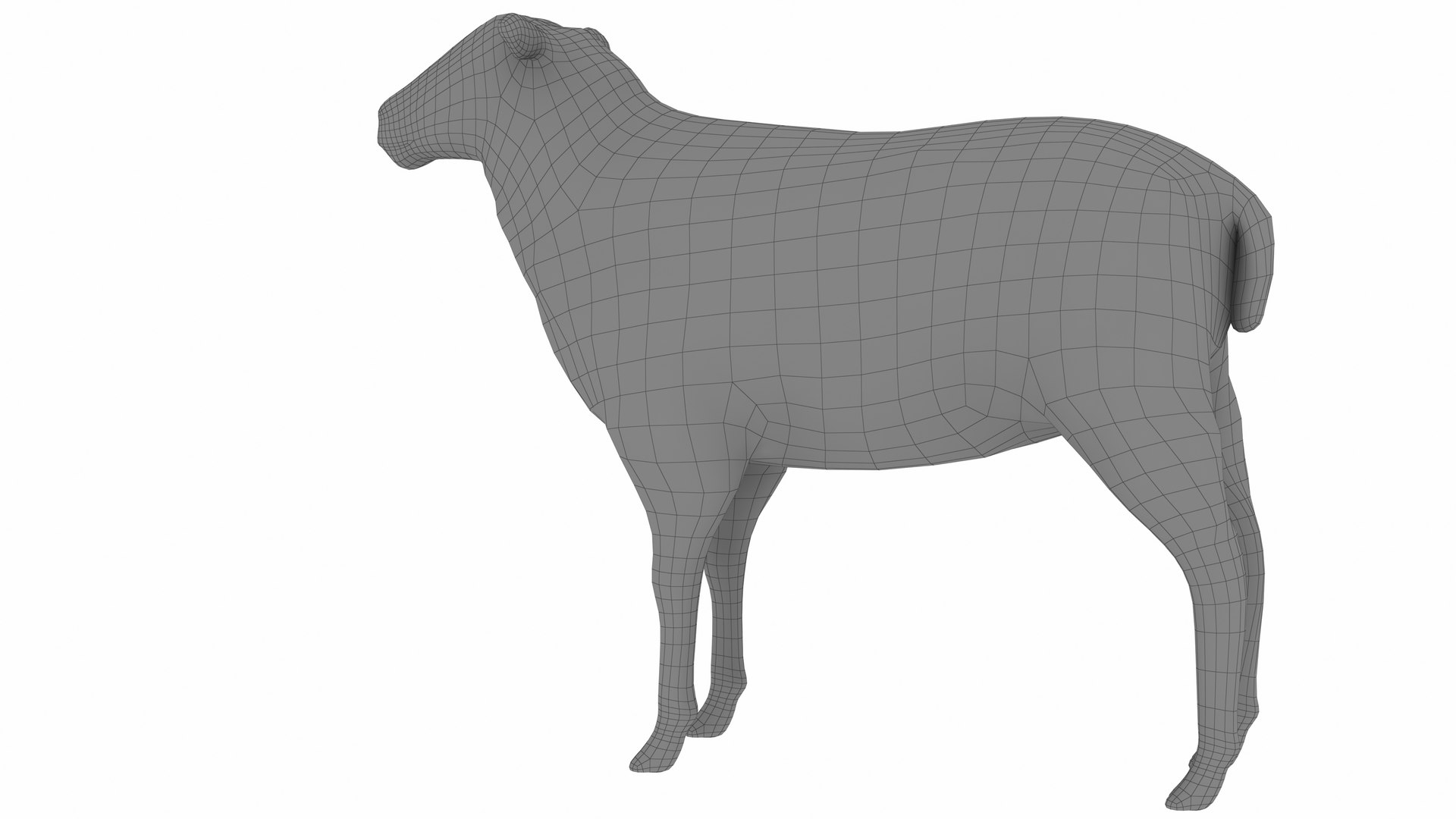 Sheep 3D Model - TurboSquid 2342924