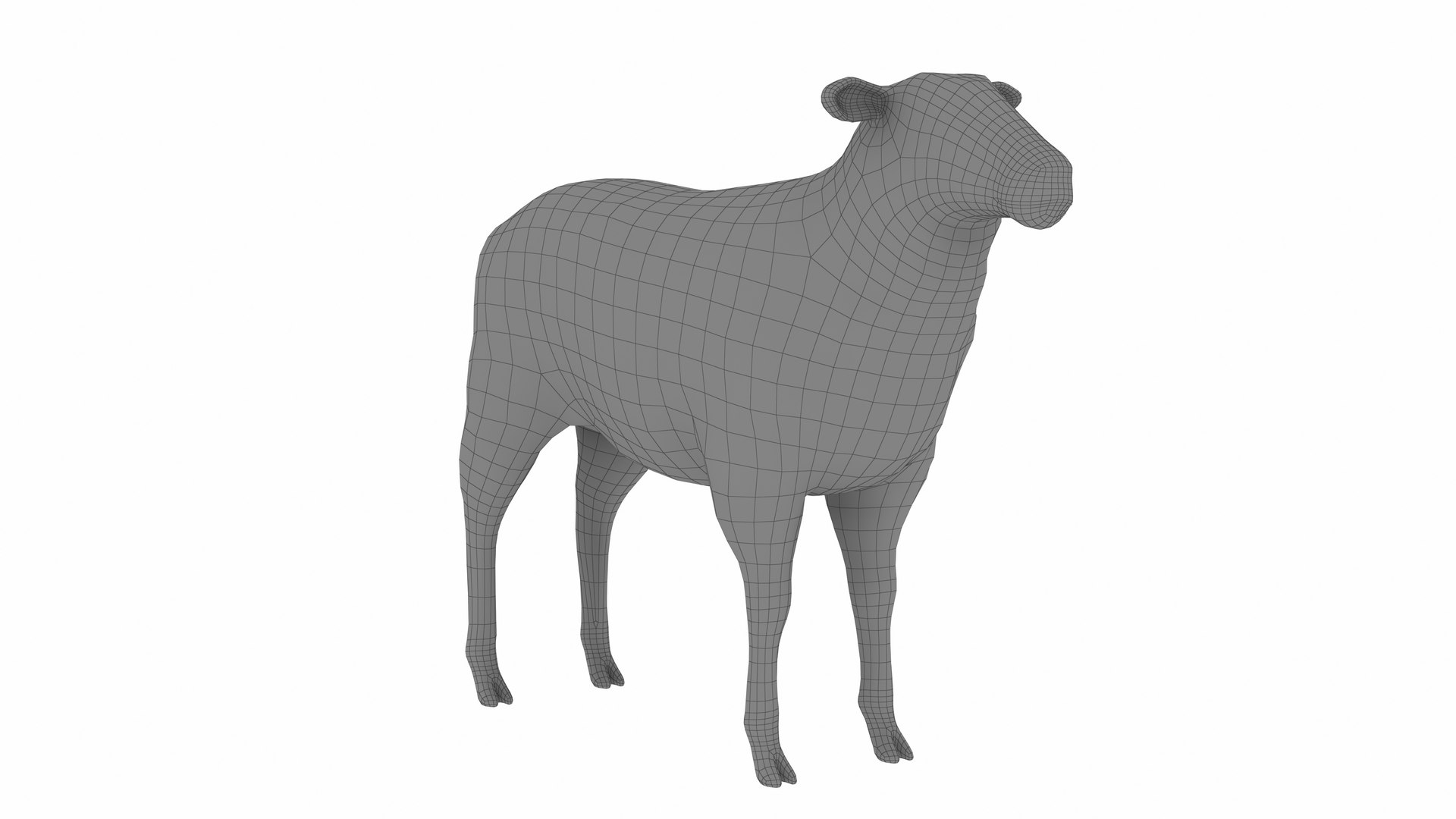 Sheep 3D Model - TurboSquid 2342924