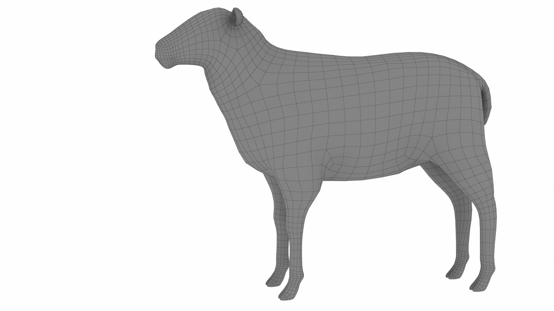 Sheep 3D Model - TurboSquid 2342924