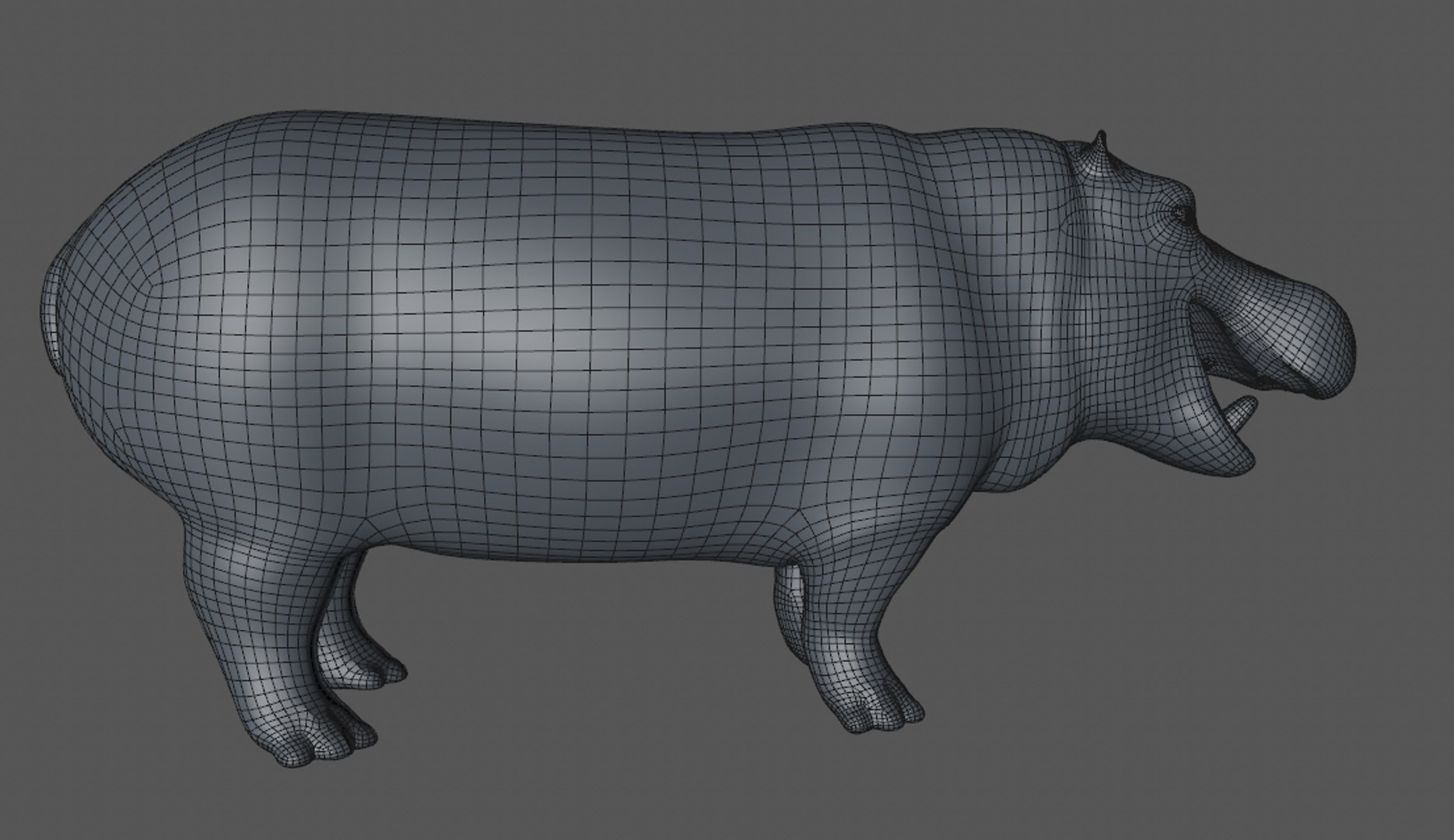 3D hippopotamus hippotamus model https://p.turbosquid.com/ts-thumb/pO/CTJ78v/5mCnLJEw/s00/jpg/1532328453/1920x1080/fit_q87/2d94115038d1207c862f0efcda434936d2a7e57e/s00.jpg
