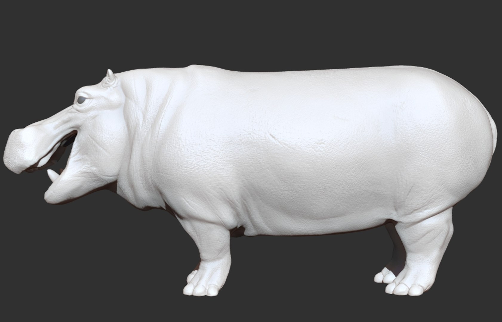 3D hippopotamus hippotamus model https://p.turbosquid.com/ts-thumb/pO/CTJ78v/MrAgKtE0/01/jpg/1532328487/1920x1080/fit_q87/7e1cc515c5b3439a2cff9ee9405300d85a86f481/01.jpg