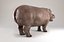 Hippopotam